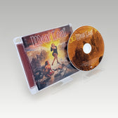 Hang Cool Teddy Bear cover art