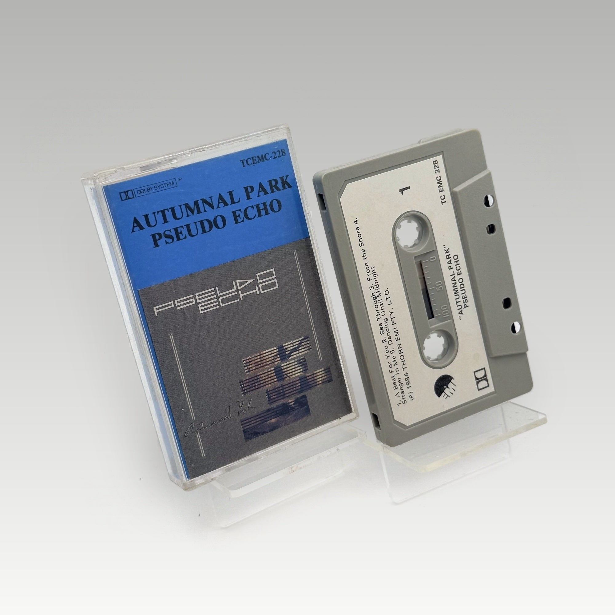 Pseudo Echo - Autumnal Park • CIB - Image 1
