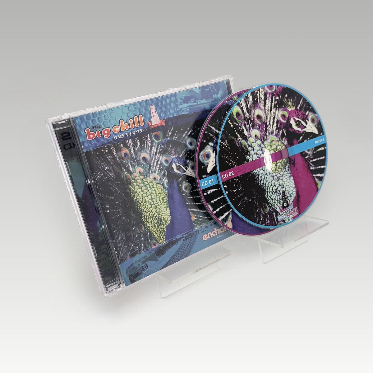 The Big Chill - Enchanted 02 • CIB - Image 1