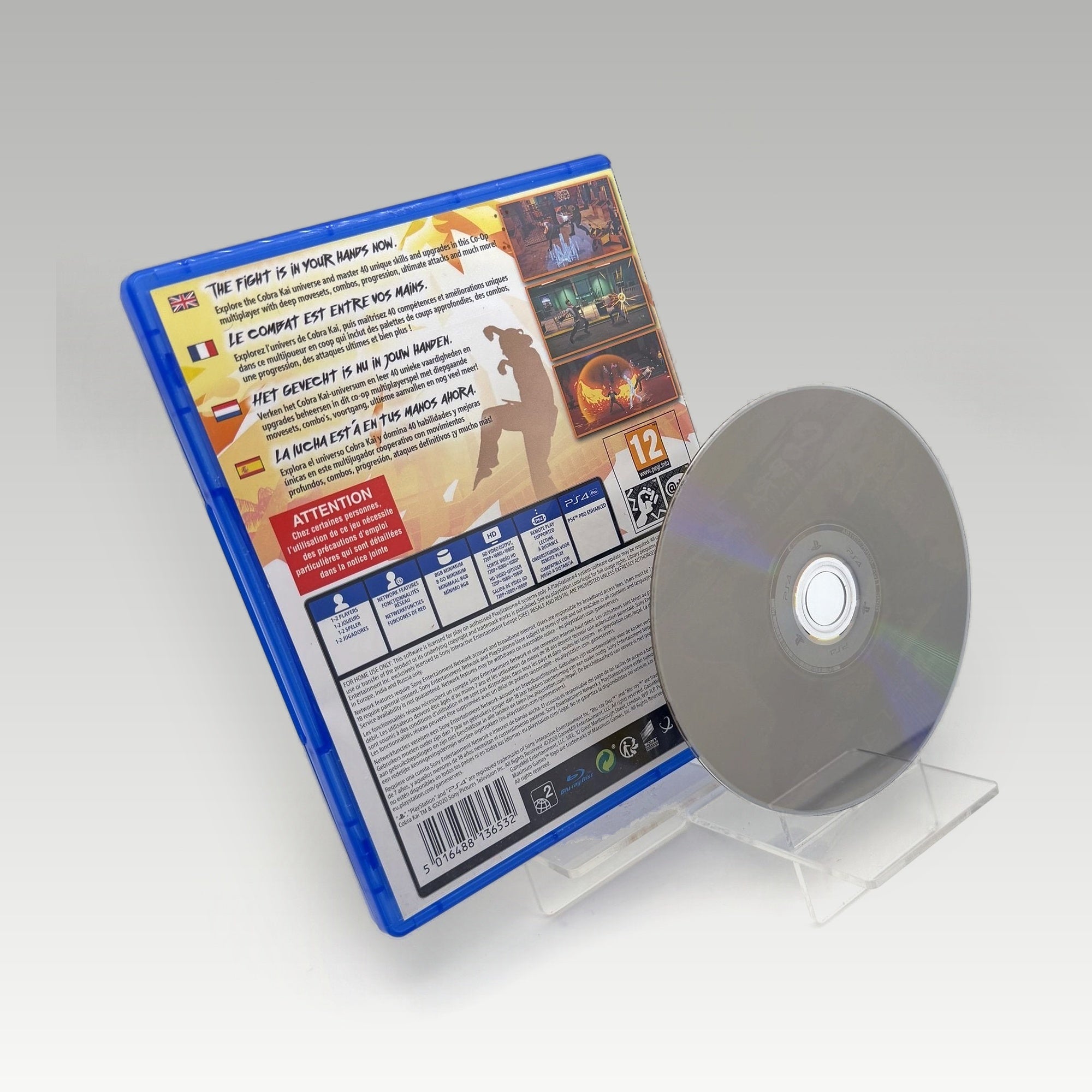 Cobra Kai: The Karate Kid Saga Continues • CIB (Region 2) - Image 2